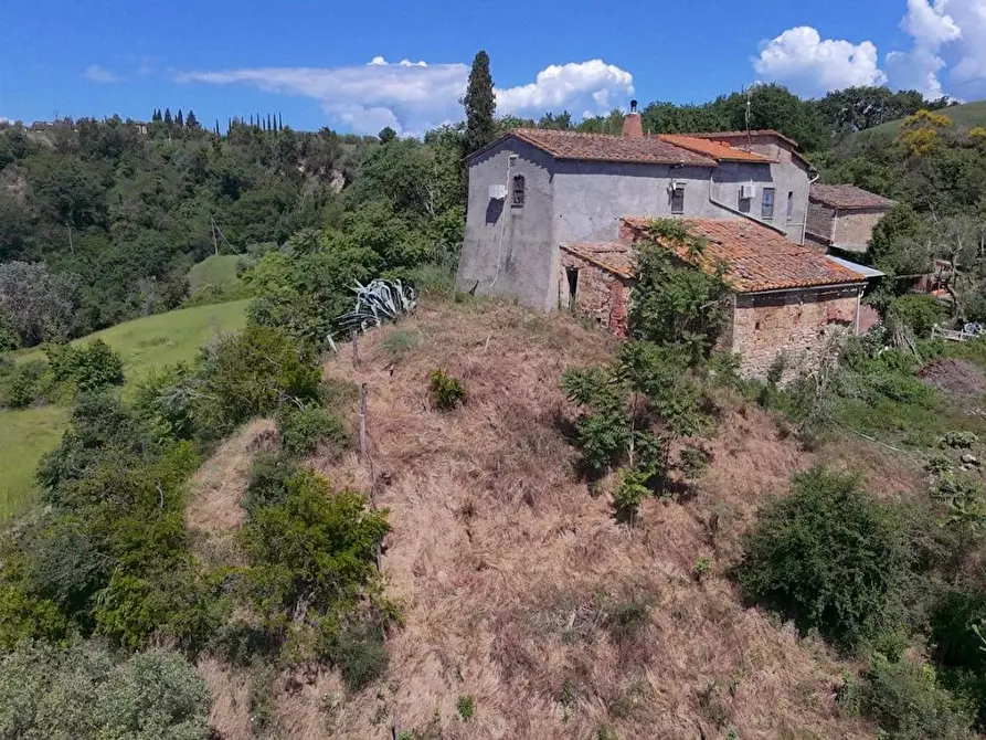 Immagine 11 di Casa colonica in vendita  a Asciano