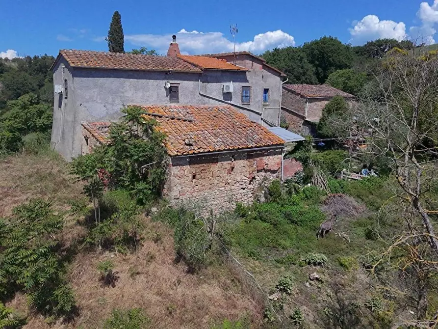 Immagine 10 di Casa colonica in vendita  a Asciano