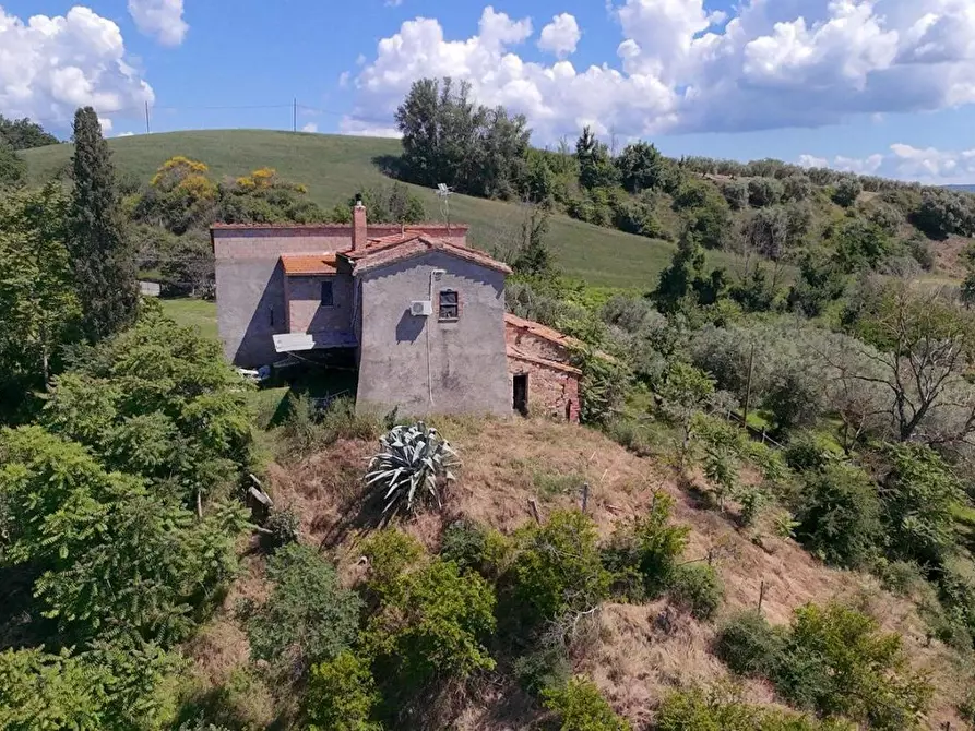 Immagine 2 di Casa colonica in vendita  a Asciano