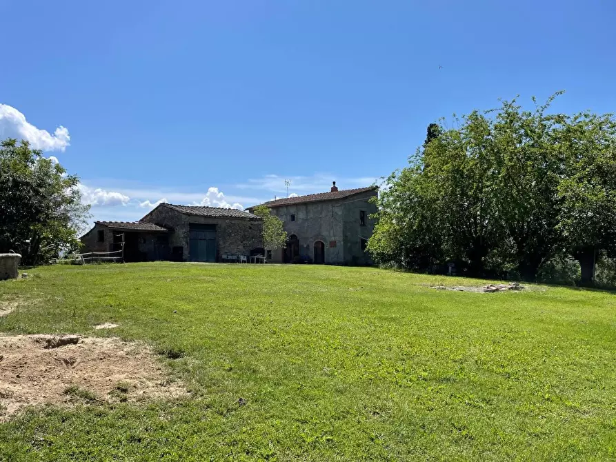 Immagine 19 di Casa colonica in vendita  a Asciano