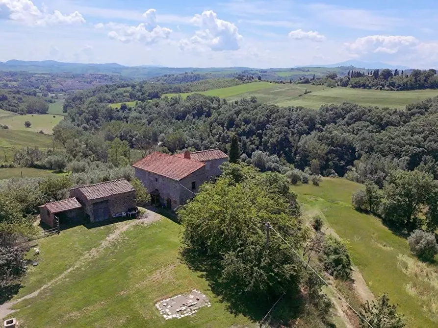 Immagine 17 di Casa colonica in vendita  a Asciano