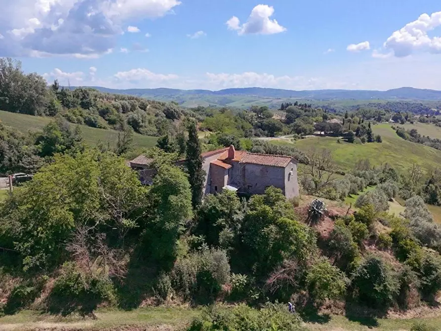 Immagine 13 di Casa colonica in vendita  a Asciano
