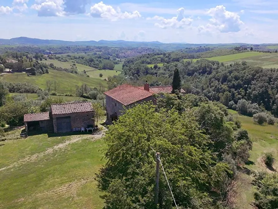 Immagine 16 di Casa colonica in vendita  a Asciano
