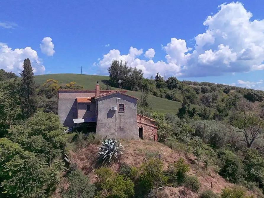 Immagine 1 di Casa colonica in vendita  a Asciano