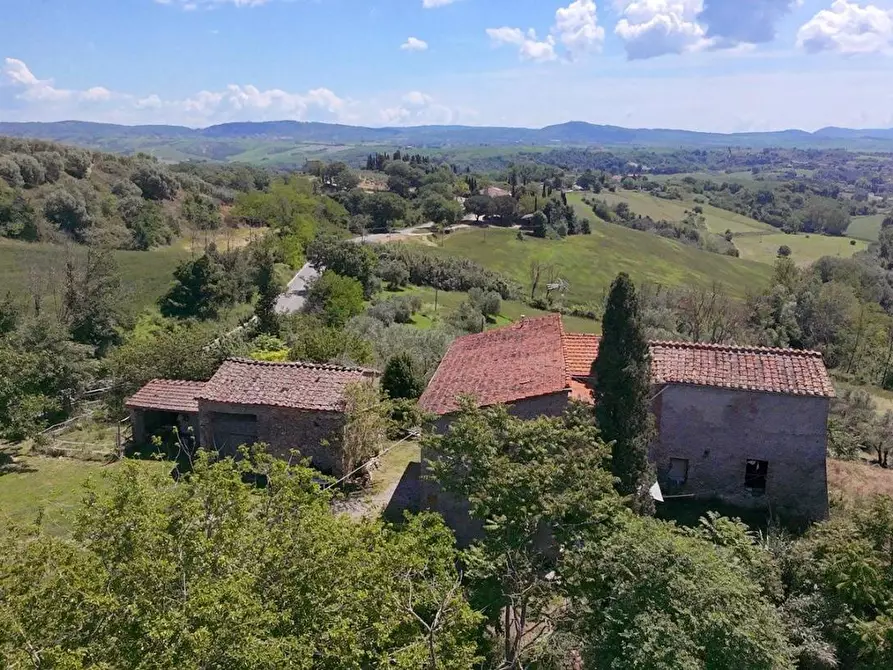Immagine 14 di Casa colonica in vendita  a Asciano