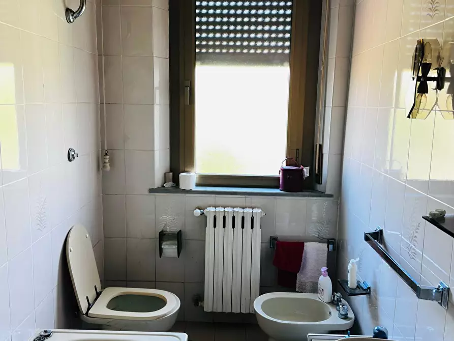 Immagine 11 di Appartamento in vendita  a Pisa