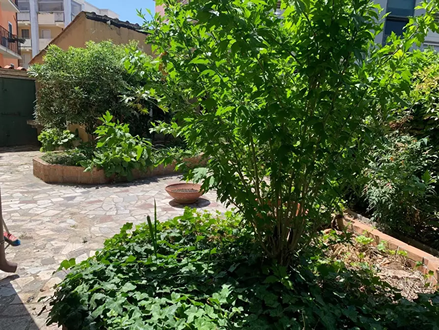 Immagine 2 di Appartamento in vendita  a Carrara