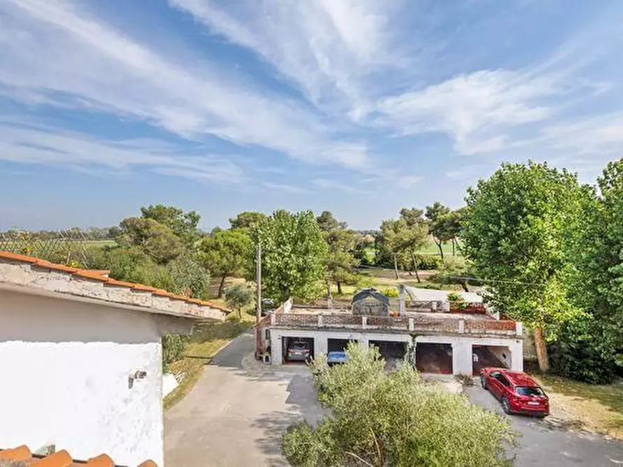 Immagine 32 di Appartamento in vendita  a Pisa