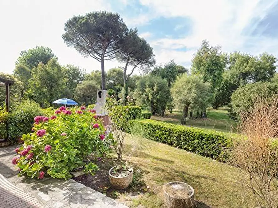 Immagine 9 di Appartamento in vendita  a Pisa