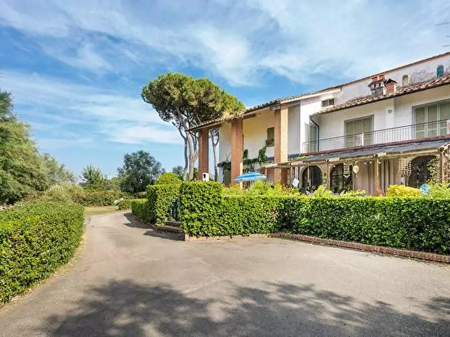 Immagine 6 di Appartamento in vendita  a Pisa