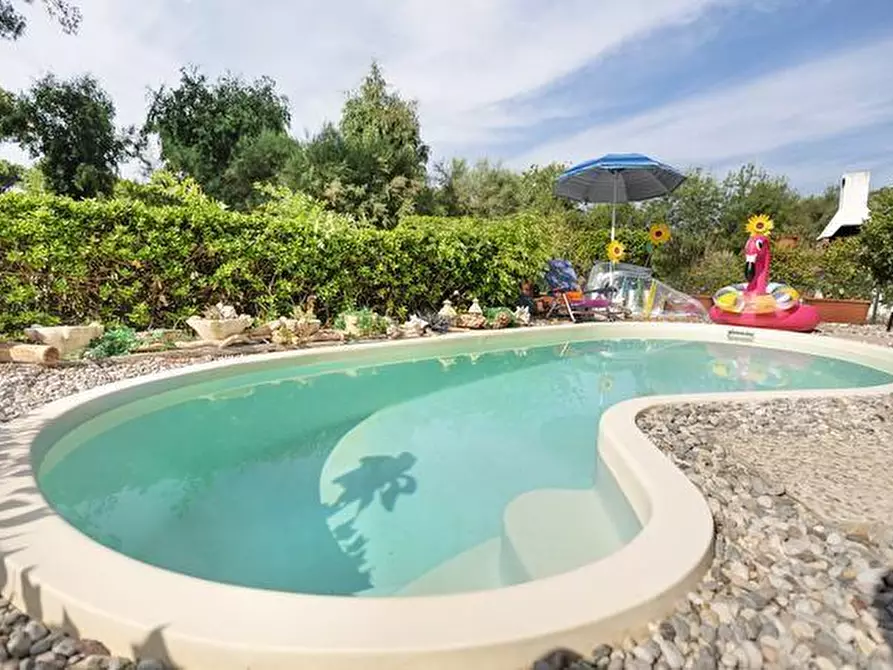 Immagine 12 di Appartamento in vendita  a Pisa