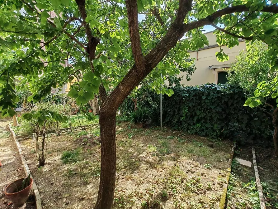 Immagine 10 di Villa in vendita  a Ponsacco