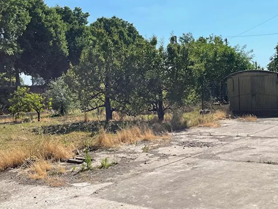 Immagine 26 di Villa in vendita  a Pontedera