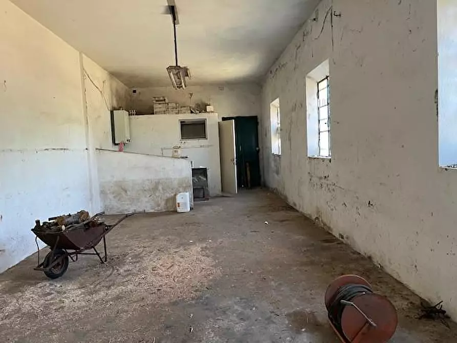 Immagine 22 di Villa in vendita  a Pontedera