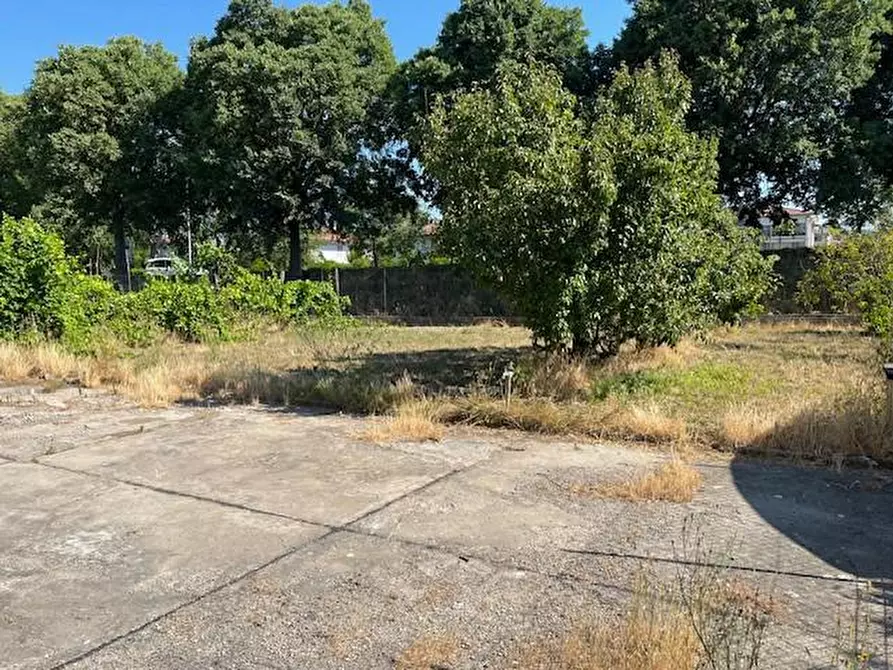 Immagine 16 di Villa in vendita  a Pontedera