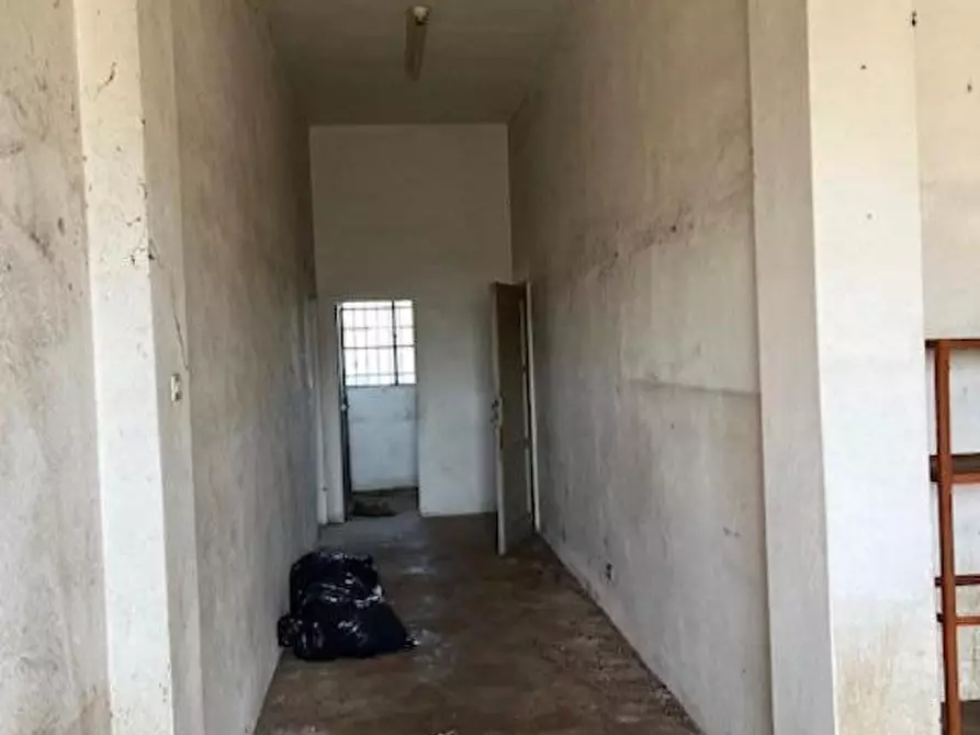 Immagine 11 di Villa in vendita  a Pontedera