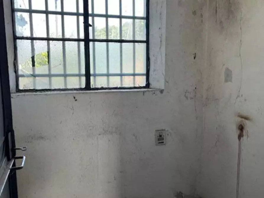 Immagine 13 di Villa in vendita  a Pontedera