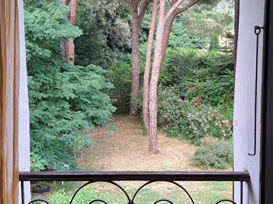 Immagine 50 di Casa colonica in vendita  a Calci