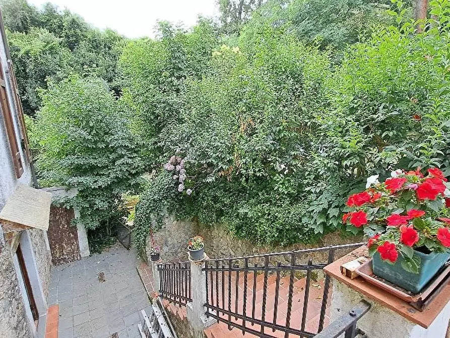 Immagine 37 di Casa colonica in vendita  a Calci