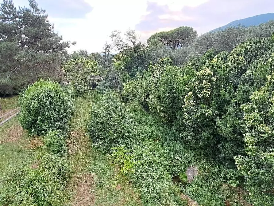 Immagine 51 di Casa colonica in vendita  a Calci