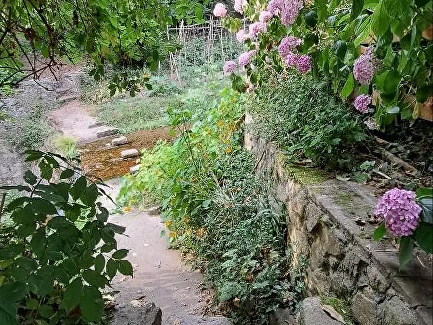 Immagine 52 di Casa colonica in vendita  a Calci