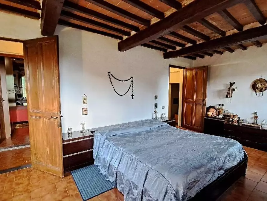 Immagine 30 di Casa colonica in vendita  a Calci