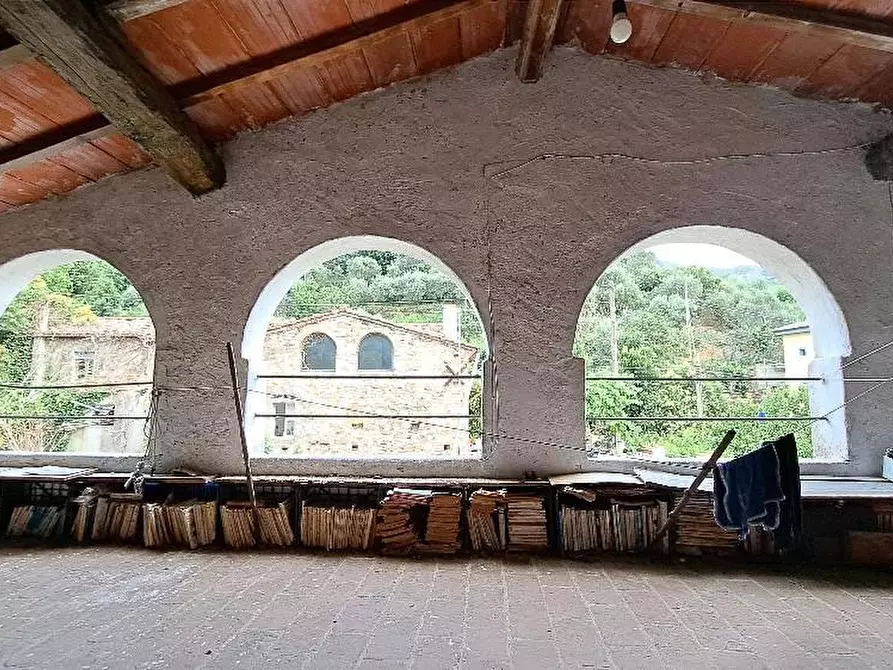 Immagine 34 di Casa colonica in vendita  a Calci