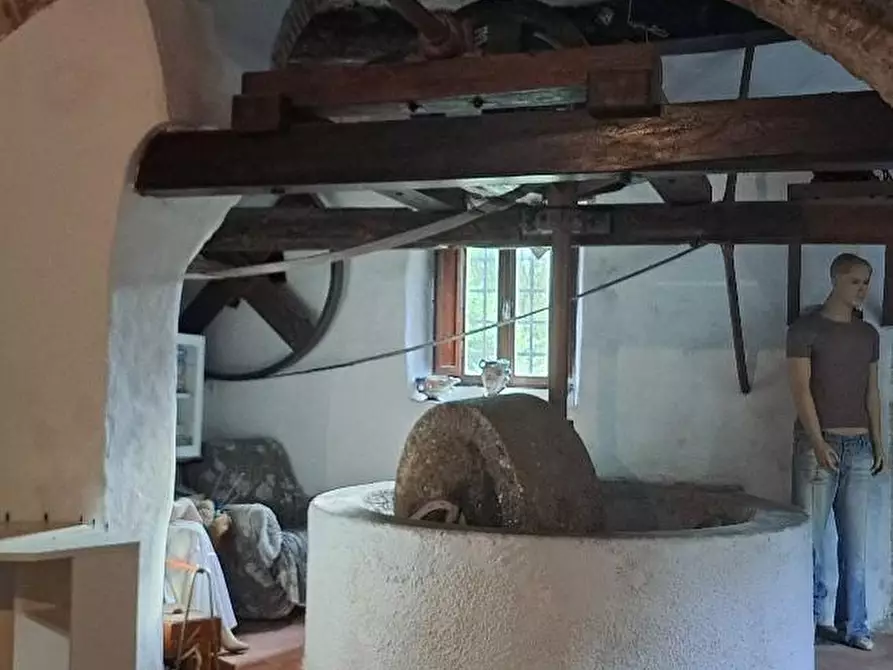 Immagine 45 di Casa colonica in vendita  a Calci