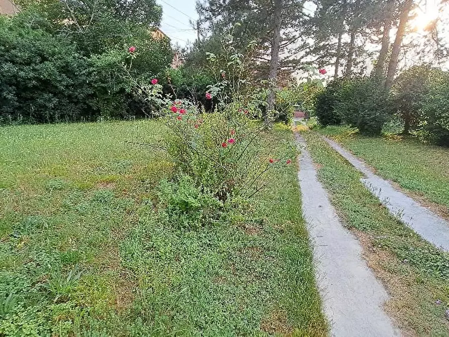 Immagine 2 di Casa colonica in vendita  a Calci
