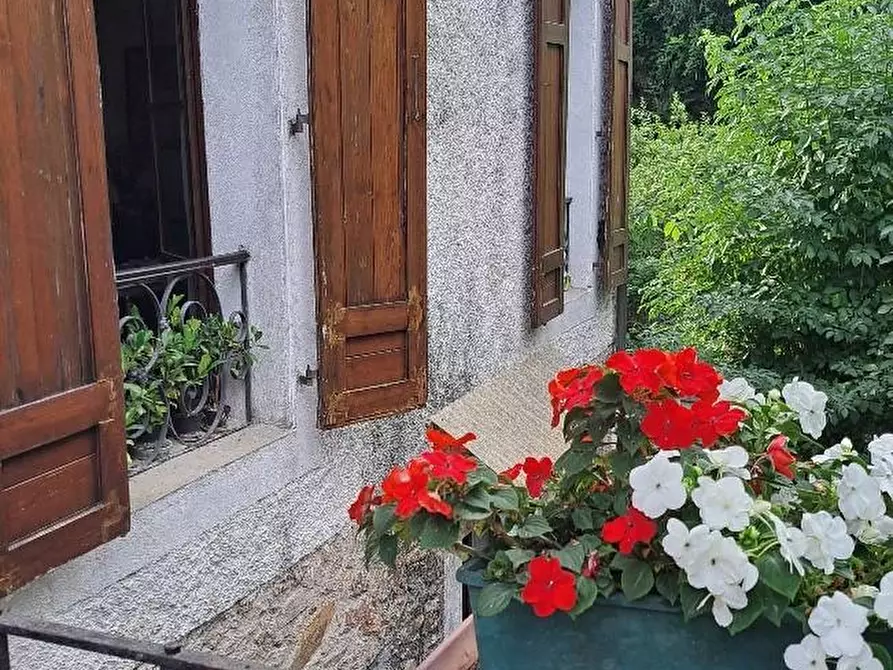 Immagine 11 di Casa colonica in vendita  a Calci