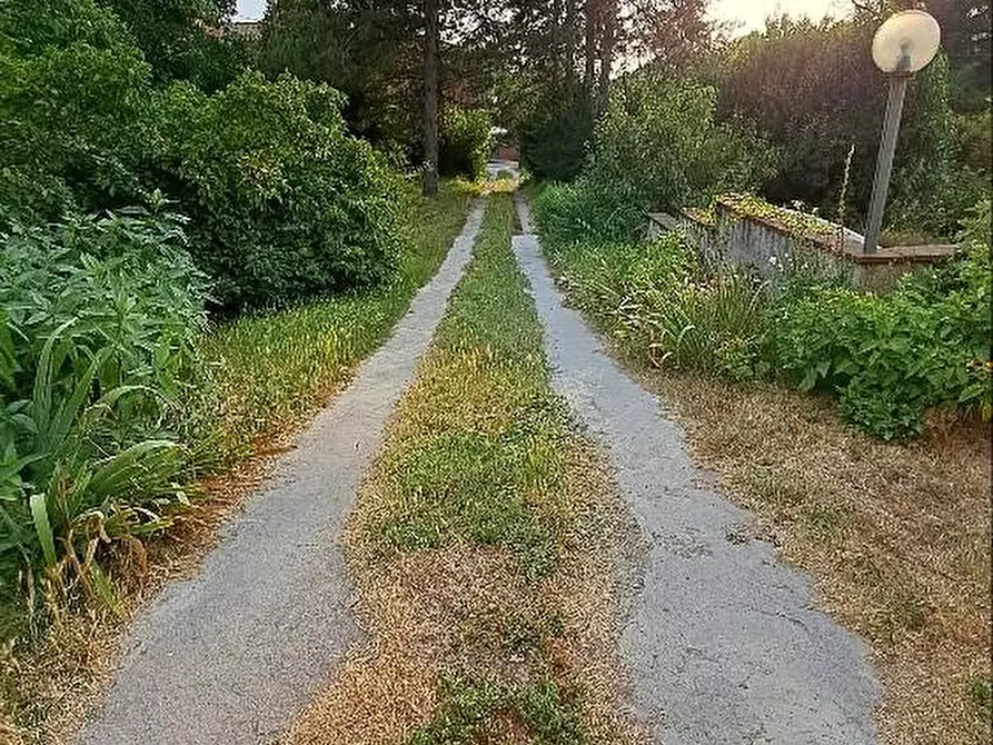 Immagine 8 di Casa colonica in vendita  a Calci