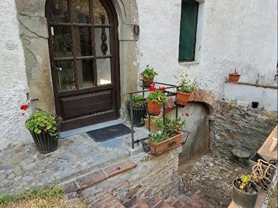 Immagine 3 di Casa colonica in vendita  a Calci