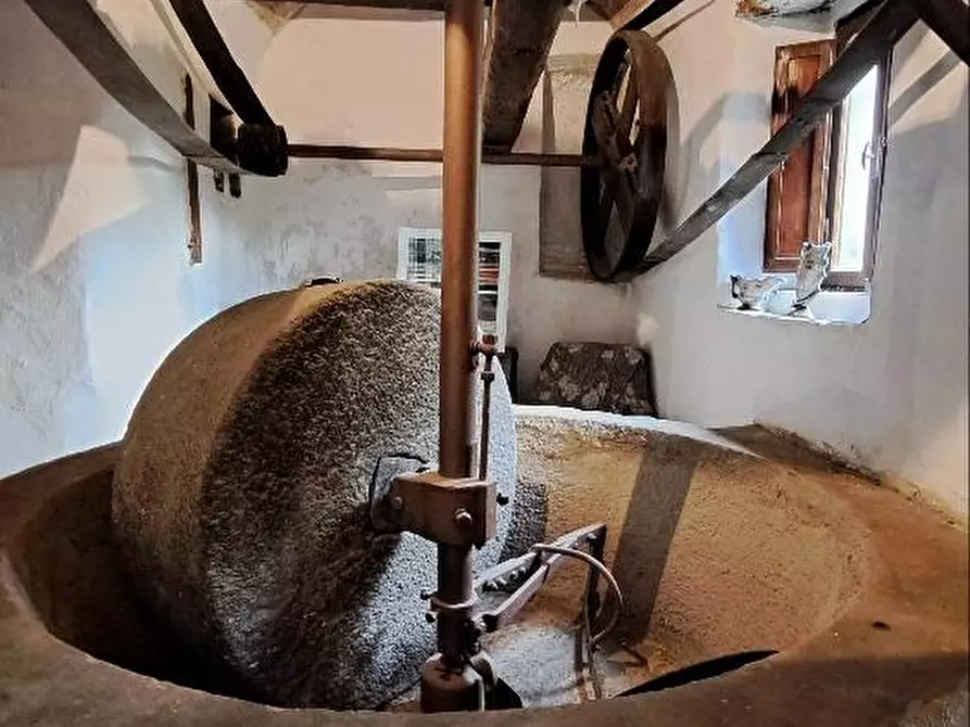 Immagine 48 di Casa colonica in vendita  a Calci