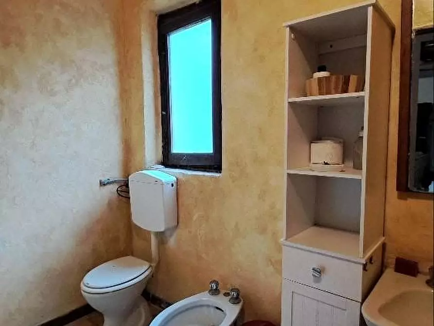 Immagine 49 di Casa colonica in vendita  a Calci