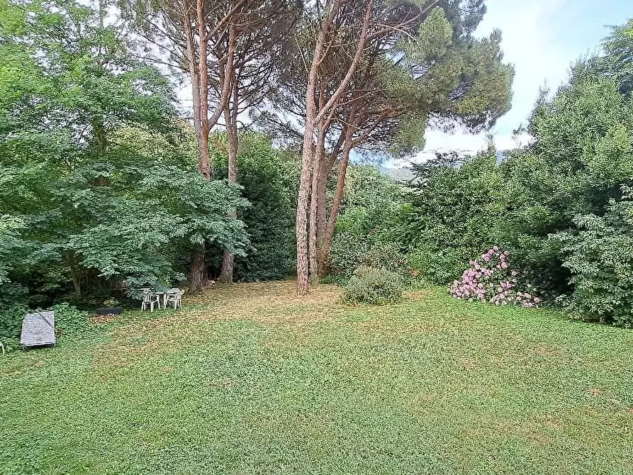 Immagine 54 di Casa colonica in vendita  a Calci