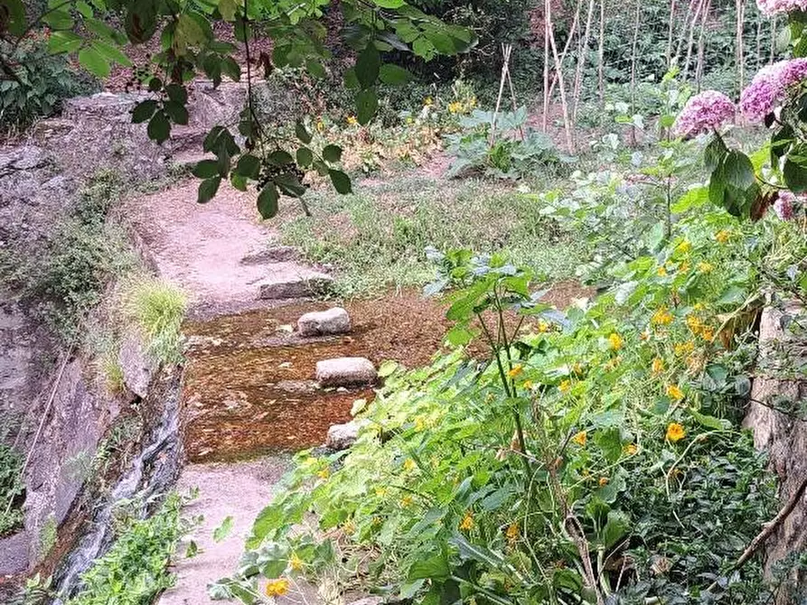 Immagine 53 di Casa colonica in vendita  a Calci