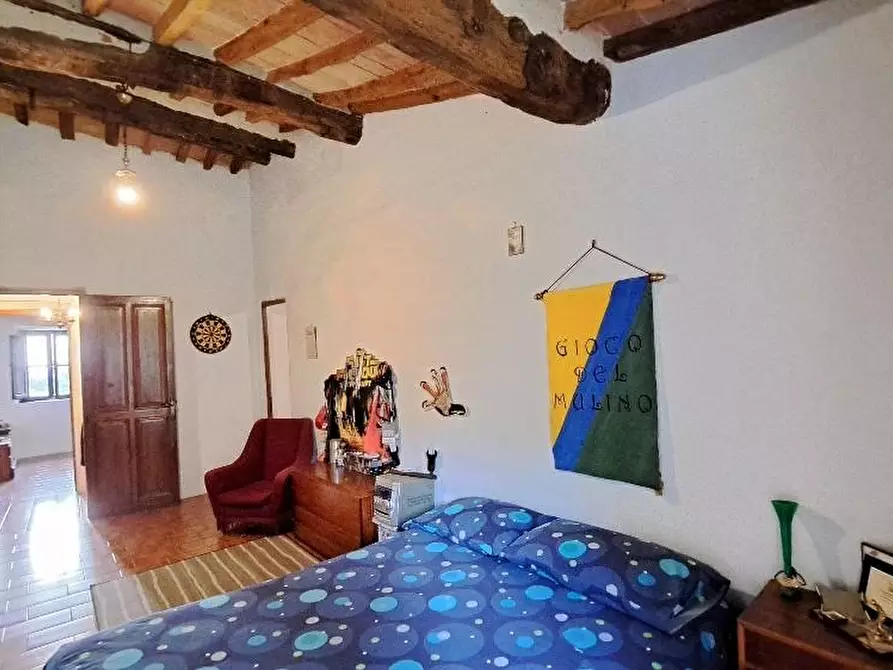 Immagine 24 di Casa colonica in vendita  a Calci