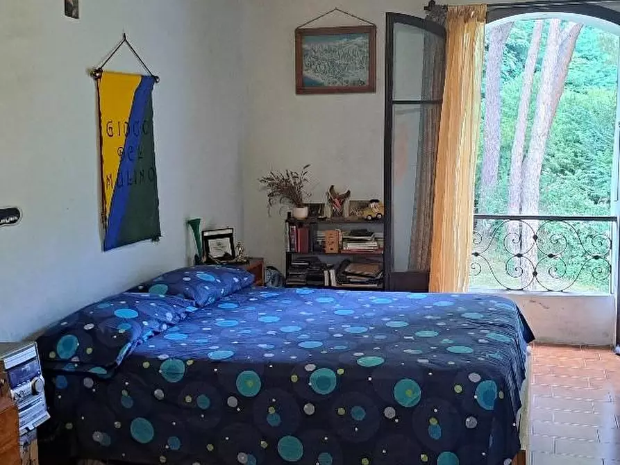 Immagine 25 di Casa colonica in vendita  a Calci