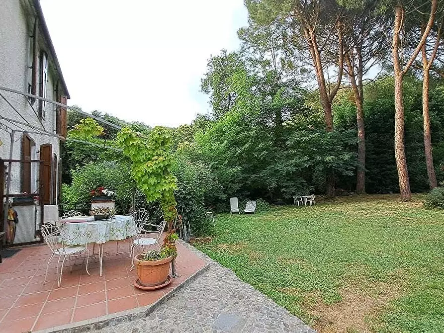 Immagine 4 di Casa colonica in vendita  a Calci
