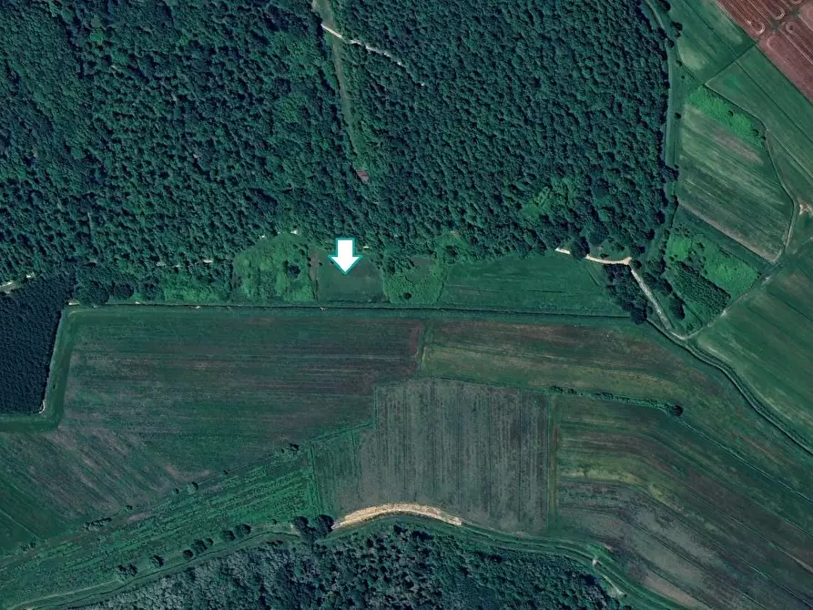 Immagine 1 di Terreno agricolo in vendita  a Bientina