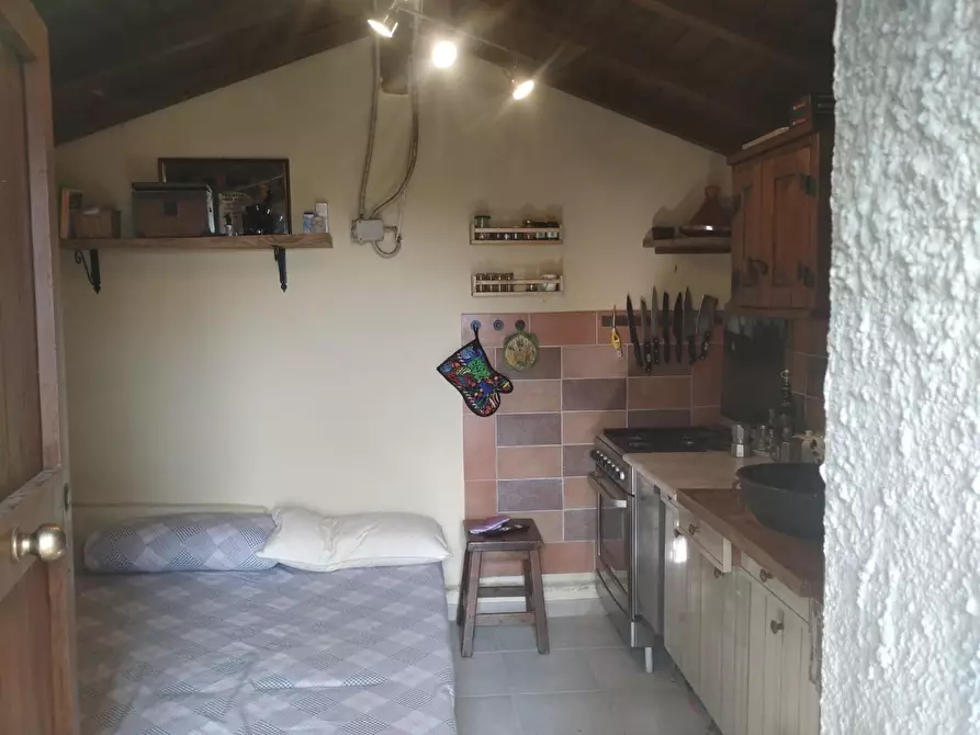 Immagine 3 di Terreno agricolo in vendita  a Palaia