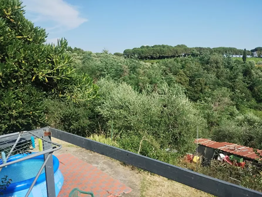 Immagine 5 di Terreno agricolo in vendita  a Palaia
