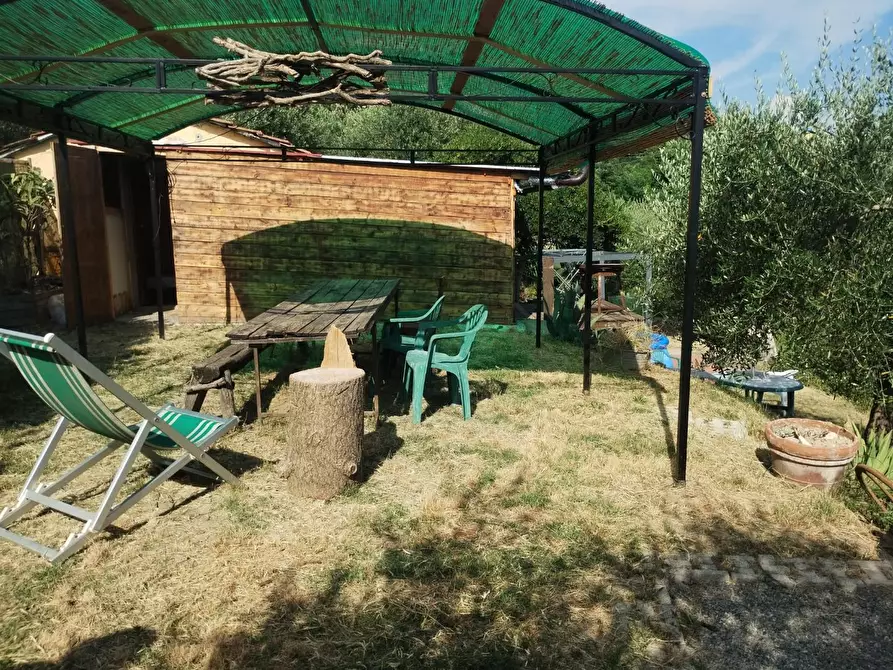 Immagine 7 di Terreno agricolo in vendita  a Palaia