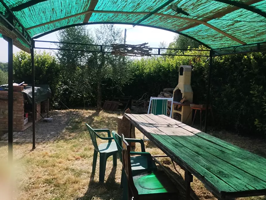 Immagine 4 di Terreno agricolo in vendita  a Palaia