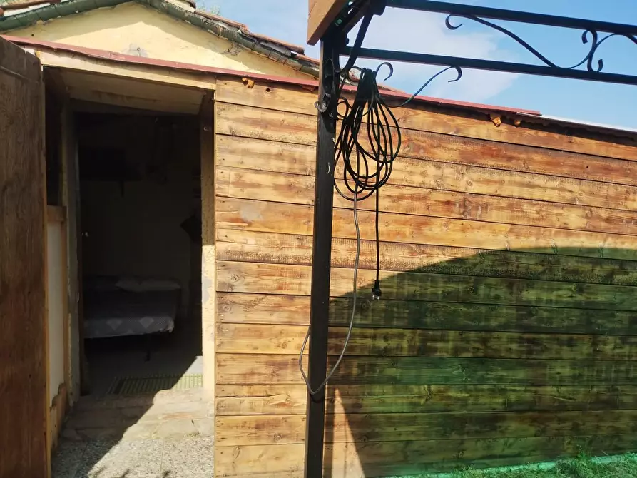 Immagine 6 di Terreno agricolo in vendita  a Palaia