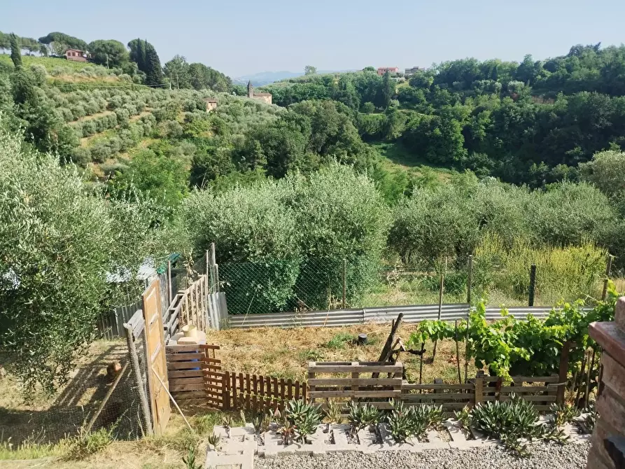 terreno agricolo in vendita a Palaia
