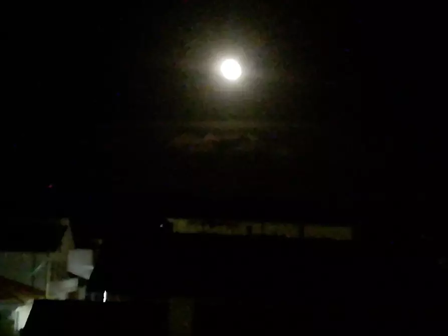 Immagine 14 di Appartamento in vendita  a Rosignano Marittimo