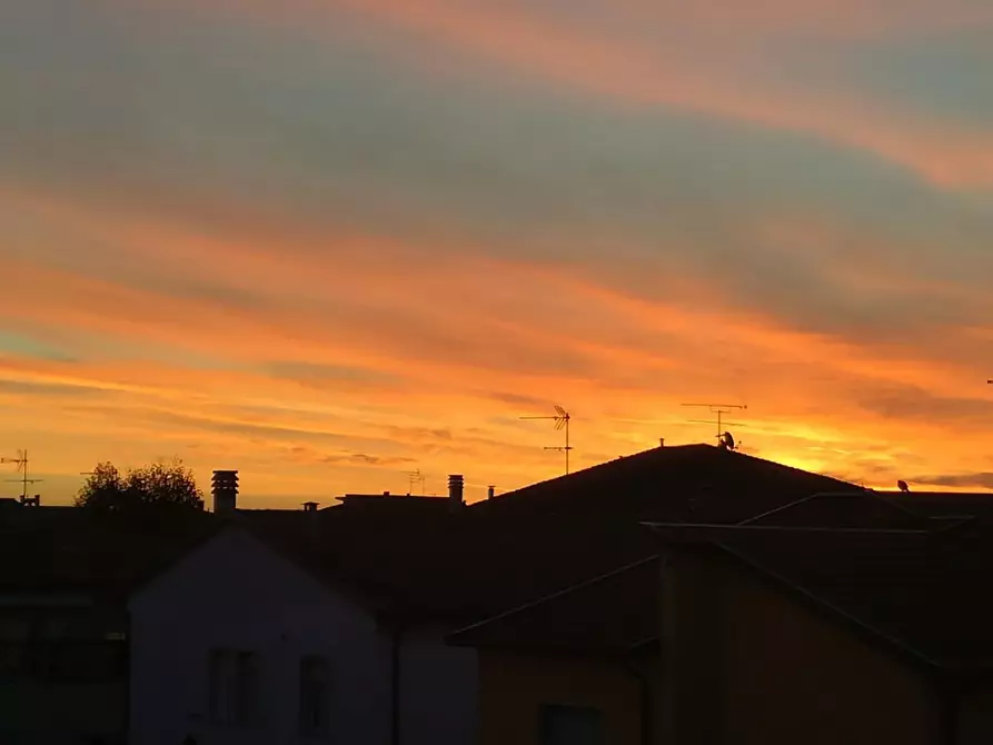 Immagine 13 di Appartamento in vendita  a Rosignano Marittimo