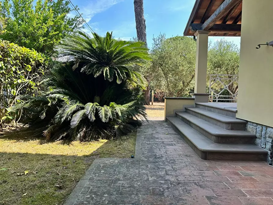 Immagine 19 di Villa in vendita  a Pietrasanta