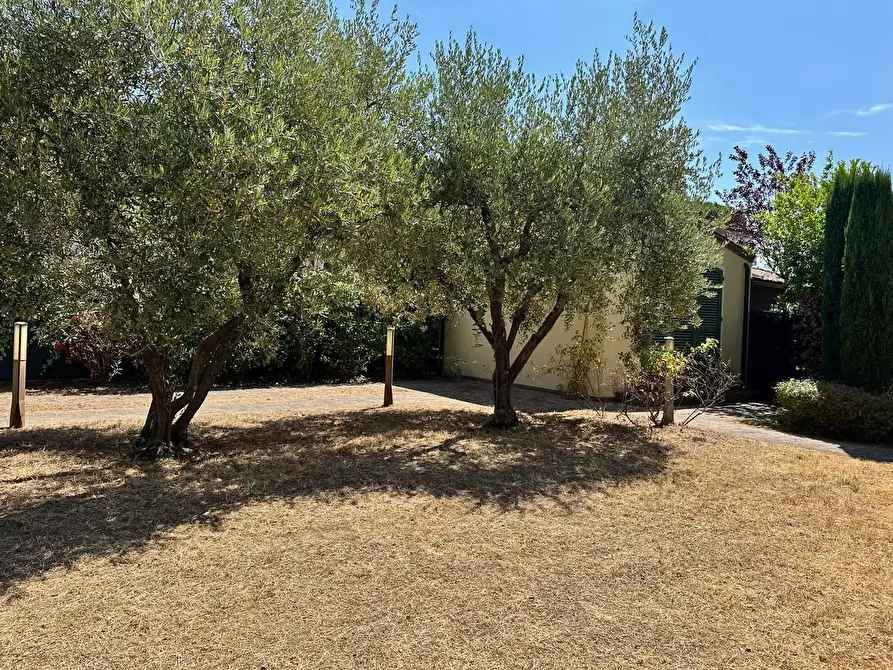 Immagine 21 di Villa in vendita  a Pietrasanta